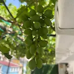 Taksim Neo Pera Apartahotel 4*