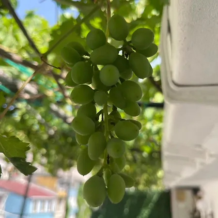 Taksim Neo Pera Aparthotel 4*