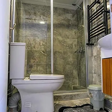 Taksim Neo Pera מלון דירות 4*