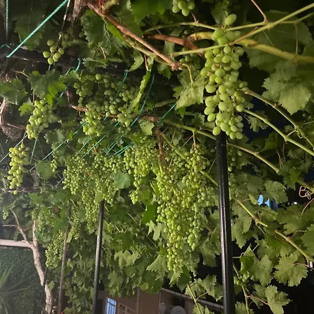 Taksim Neo Pera Istanbul